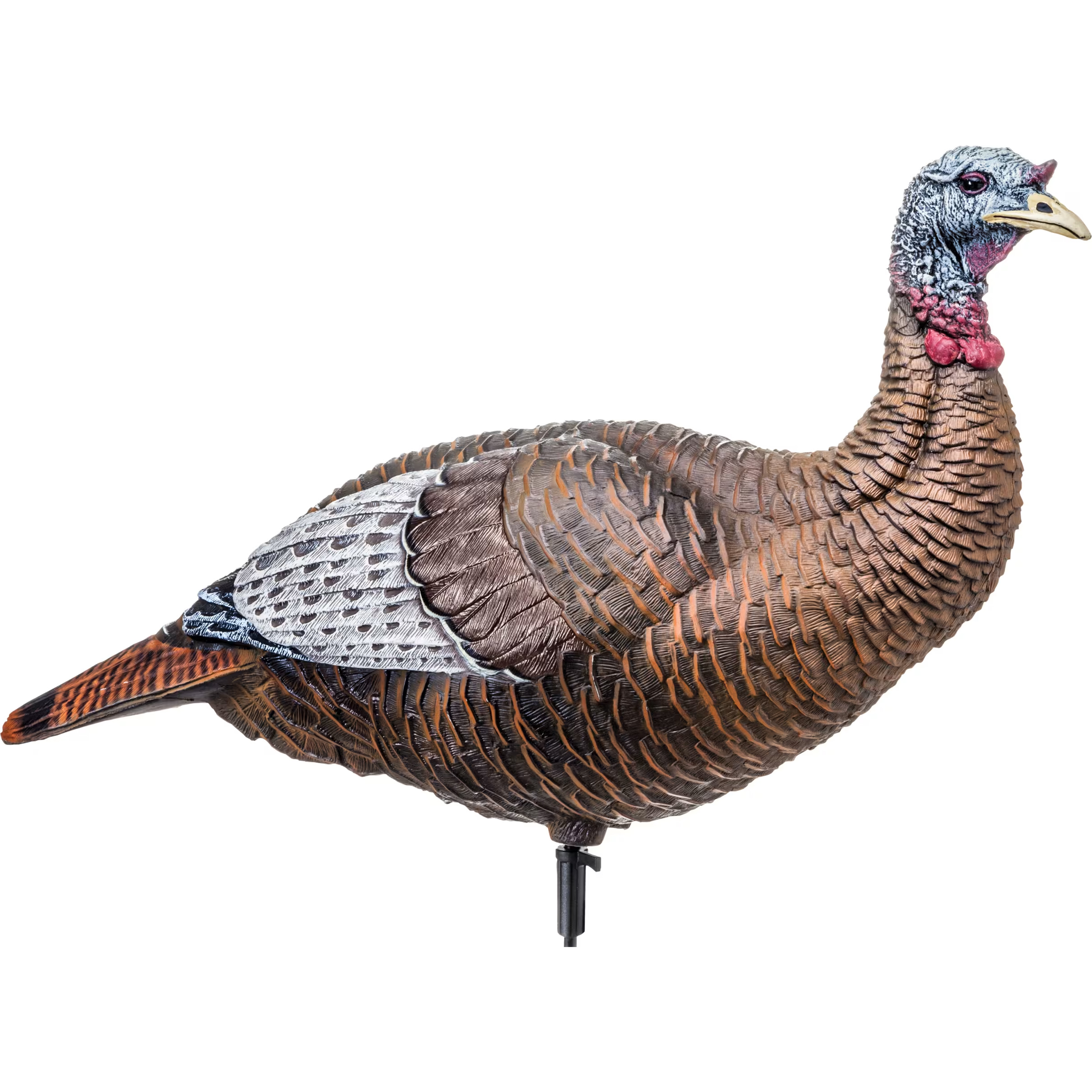 flextone Thunder Chick Upright Hen Turkey Decoy Bass Pro Shops